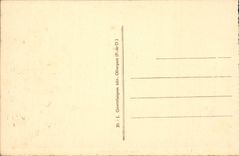 Poetic Auvergne - Beach of the lake Chambon Landscape charmer in the shade of the fir trees - CPA