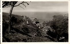 Cerbere - Panoramic View - CPA