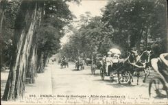 Paris - 16 - Wood of Boulogne - Allee of Arcacias - CPA