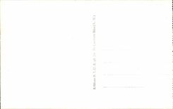 Nettes - Gesamtabbildung des Garden Albert I - - CPA