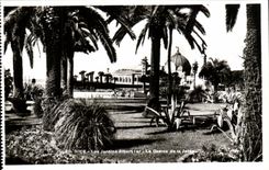 Nett - das <>Gardens Albert</> I - das Kasino und der Pier - CPA