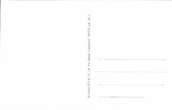 Nett - das <>Gardens Albert</> I - das Kasino und der Pier - CPA