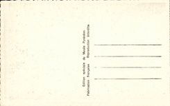 Lourdes - the Castle Fort - Overall picture - CPA