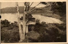 CPA Les iles d'Hyeres Porquerolles La grande plage