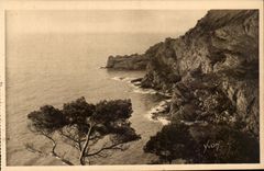 CPA Les iles d'Hyeres Porquerolles La grande cale