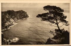 CPA Les iles d'Hyeres Porquerolles Pointe de l'Oustaou de Diou