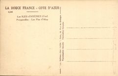 CPA Les iles d'Hyeres Porquerolles Les pins d'Alep