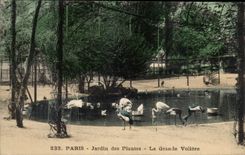Paris CPA Botanical garden the large birdcage