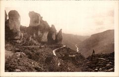 Falls of Tarn CPA Vines Tarn seen of the road of Causse