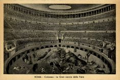 Italy Italia Roma CPA It Colosseo Gran caccia beyond Proud