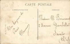 Paris CPA Statue Bridge Alexandre (lion)