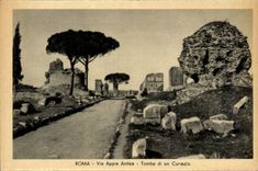 Italia - Italy - Roma - Rome - Via Appia Antica - Curiazia Fell di - CPA