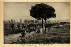 Italia - Italy - Roma - Rome - Via Appia nuova Acquedotti di Claudio - CPA