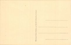 Lourdes - the Basilica - During Blessing CPA