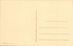 Lourdes - the Couronee Virgin and Basilica CPA