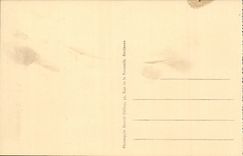 Lourdes - the Breton Martyrdom and Basilica CPA