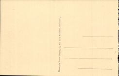 Lourdes - Gave - the Bridge and Castle CPA