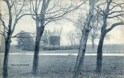 Paris - 16 - Bois de Boulogne Moulin Mill - CPA 