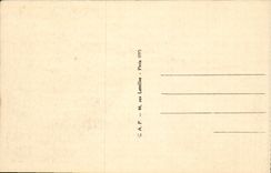 Nice - the Castle and the Tower - CPA