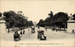 Paris - 8 - Champs Elysees - Horses of Marly - horse - horse - CPA