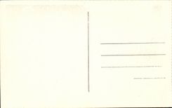 Vichy - Source des Celestins - CPA 