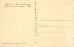 Loaches - the Castle - Gate of Collegial Saint the Bear - CPA