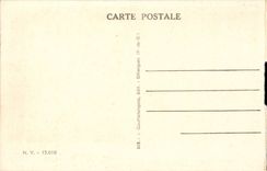 Vichy - Bassin des Cygnes dans le Parc CPA 