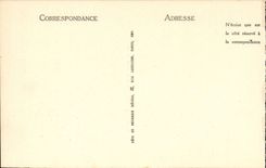 Lourdes - Sight on the Castle and Mountains CPA