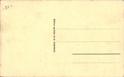 CPA Saint Bertrand de Comminges the cathedral St Etienne With the dessu two lions