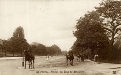 Paris CPA Avenue du Bois de Boulogne (cheval chevaux)