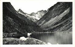 CPA CAuterets der See Gaube (Ziegeziege)