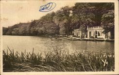 Lyon - der See des Goldkopfes - CPA