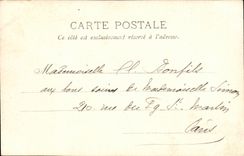 Fantasy - Woman - Woman in flowered frame - Claire - CPA