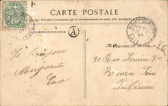 CPA Fantasy Birds in relief