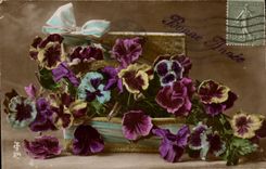 CPA Fantasy Flowers Happy New Year