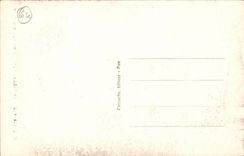 CPA Pau das Schloss Henri IV gesehen vom Nationalpark