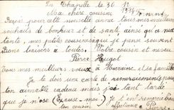 CPA Fantasy Happy New Year Butterfly Butterfly