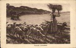 CPA Fantasy Woman and sheep Ewe