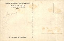 MODERN CARD Museum of natural history By zoological of Vincennes Paris Basin of the polar bears (bear bears)