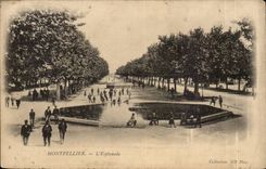 CPA Montpellier L'esplanade