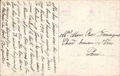 CPA Fantasy Woman Happy New Year