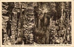 CPA Falls of the Tarn Swallow-hole Armand Vue of the large stalactites In the medium the palm tree