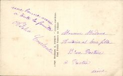 CPA Fantasy Woman Happy New Year