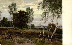 CPA Aolf Stabli Paysage de bouleaux