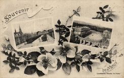 Nancy - Souvenir de Nancy - fleurs - flowers - CPA 