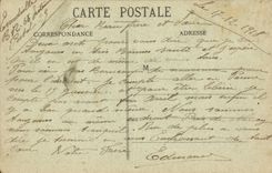 Nancy - Souvenir de Nancy - fleurs - flowers - CPA 