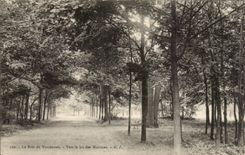 Paris - 12 - Bois de Vincennes - Vers le Lac Minimes - CPA 