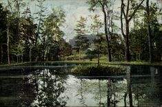 Arts - Tableau - Pretty Country Scene CPA 