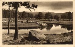 Louis mount - the Head in Pla of Avellans - CPA