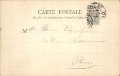 Paris - 5 - Cedars of the Botanical garden - - CPA